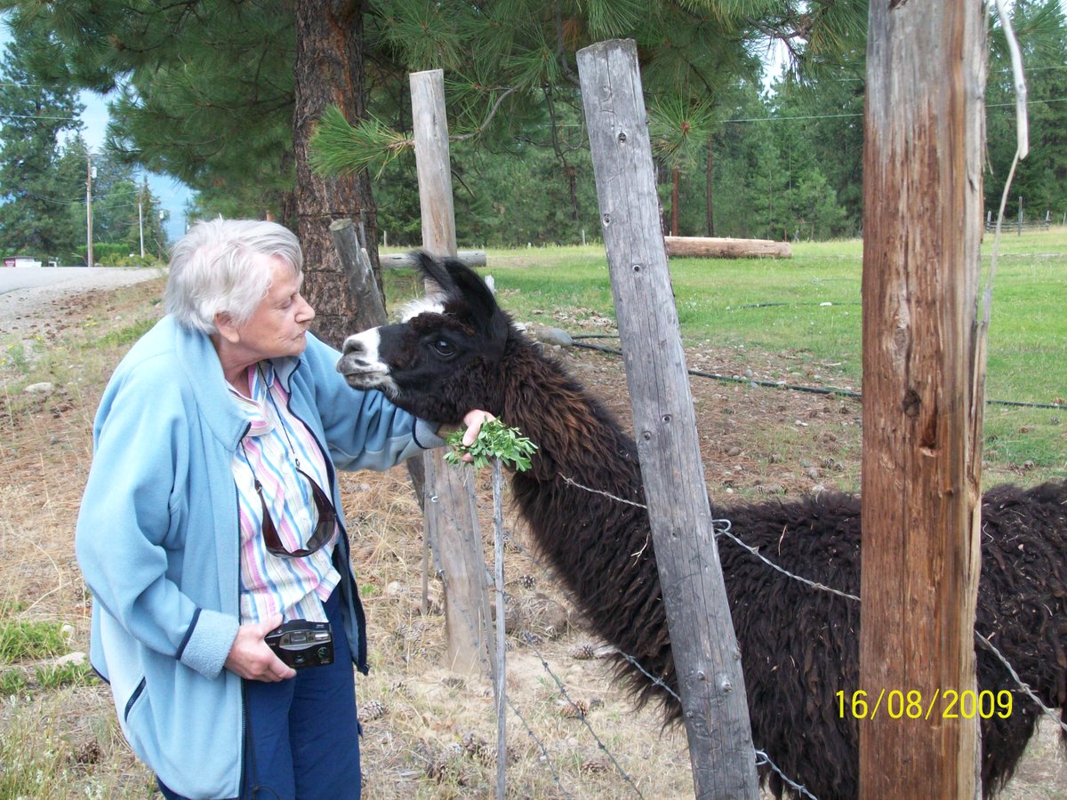 Lance Duke tweet media