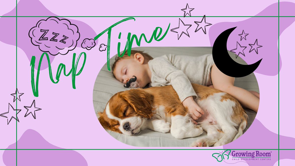 GrowingRoom's tweet photo. Nap time: where future leaders rest up for world domination. 😴✨ #PreschoolHumor #GrowingRoomStrong https://t.co/luh7SEUptb