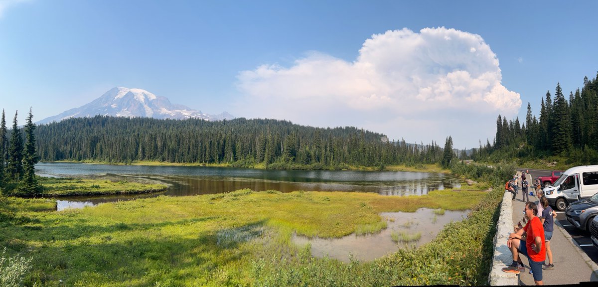 Tom Banse tweet media