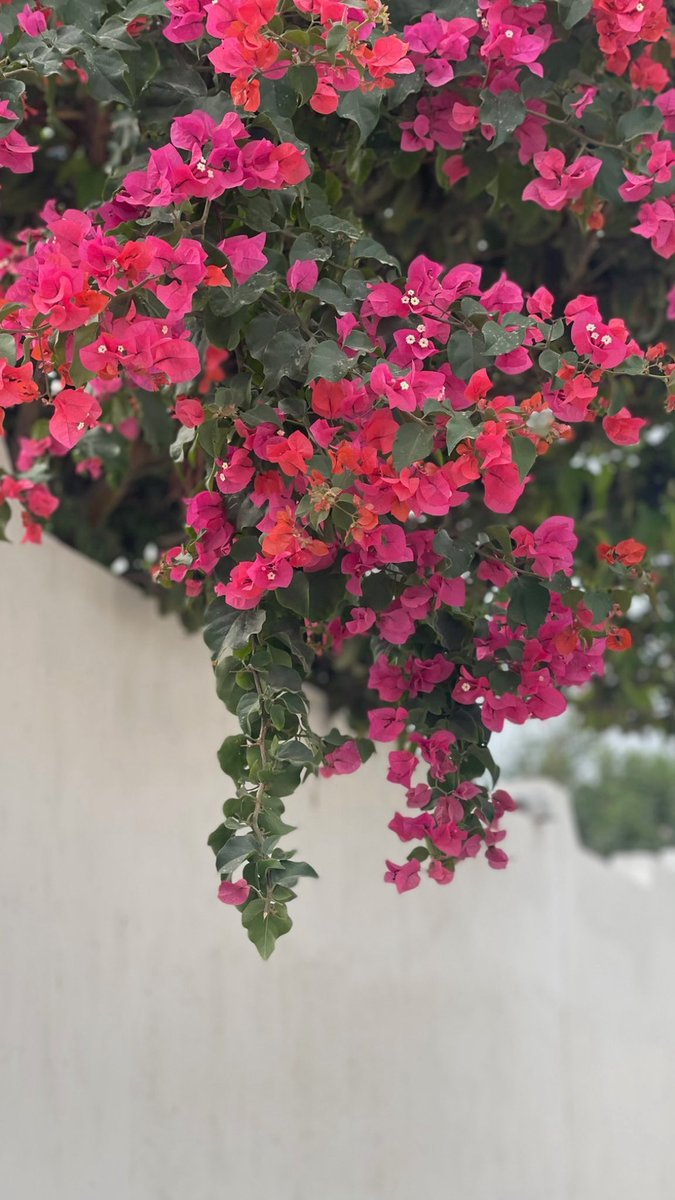 يميل الناس إلى المبالغة في كل شيء إلا اخطائهم, فهم يرونها لا تستحق النقاش.