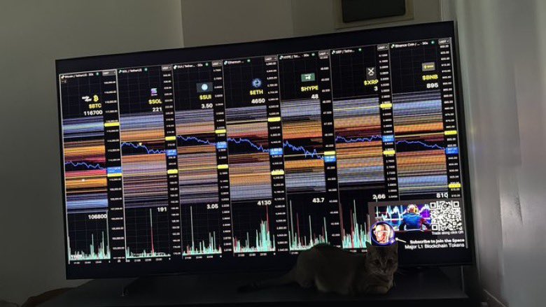手前に猫が写った85インチのテレビに表示された暗号の清算レベル