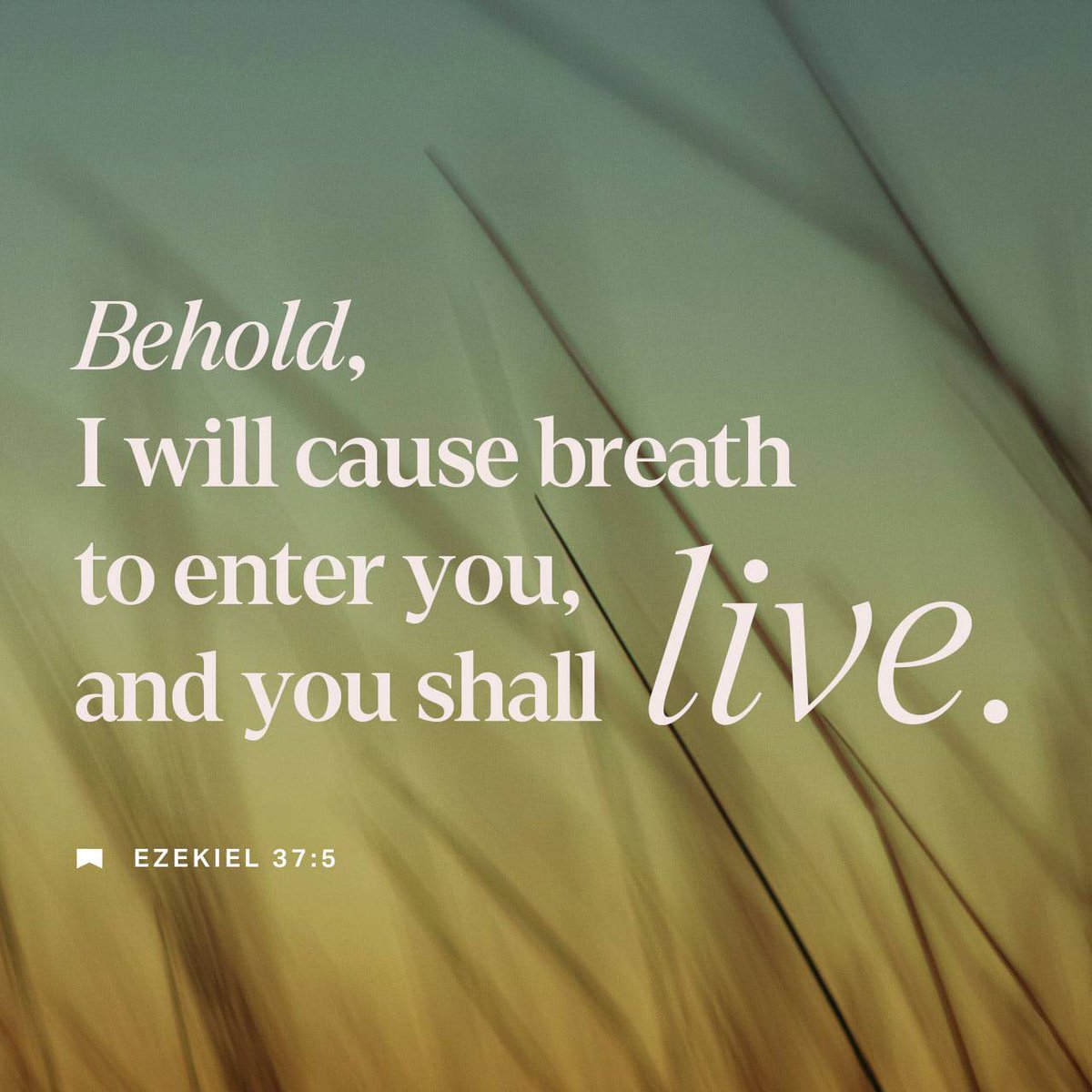 Isaiah's Insight-9/4:
We shall LIVE because God will cause BREATH to enter our bodies (37Ezek5).