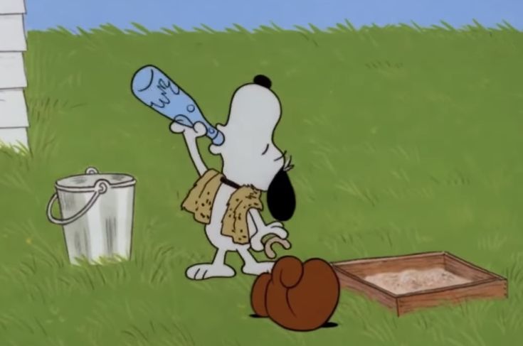 ⭐ (@snoopywook) on Twitter photo 