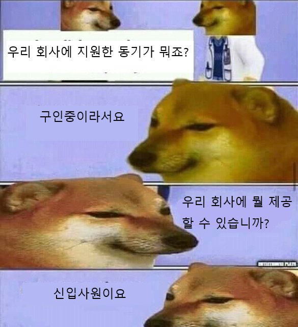 입사지원서에 쓸 말이 없어서 이렇게 써야됨