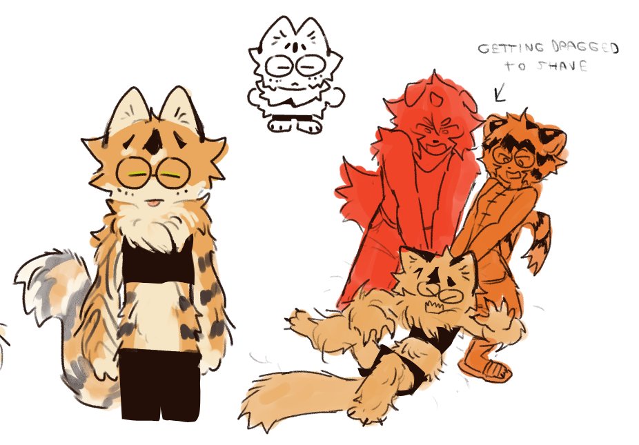 nonworkingpen's tweet photo. was out all day so im too tired to make anything big. take fluffy sabi (there will be more of him) https://t.co/ZmMKEdnhnz