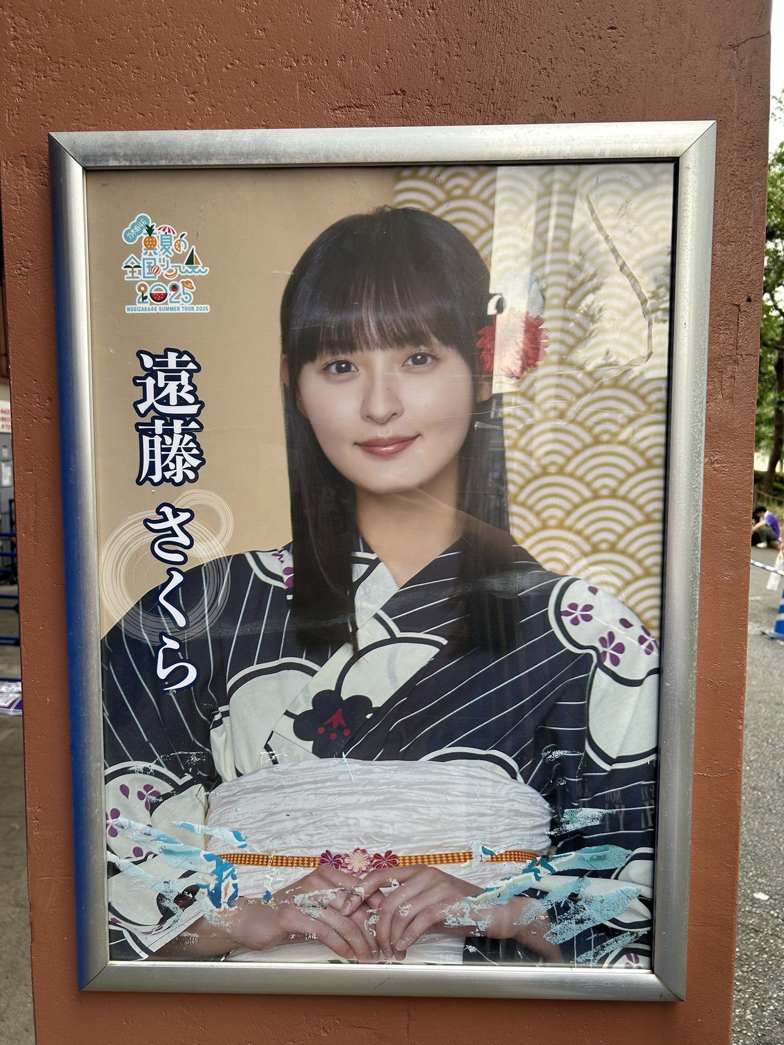 遠藤さくら 浴衣2025 5種コンプ 真夏の全国ツアー 遠藤さくら 浴衣2025 5種コンプ 真夏の全国ツアー 遠藤さくら