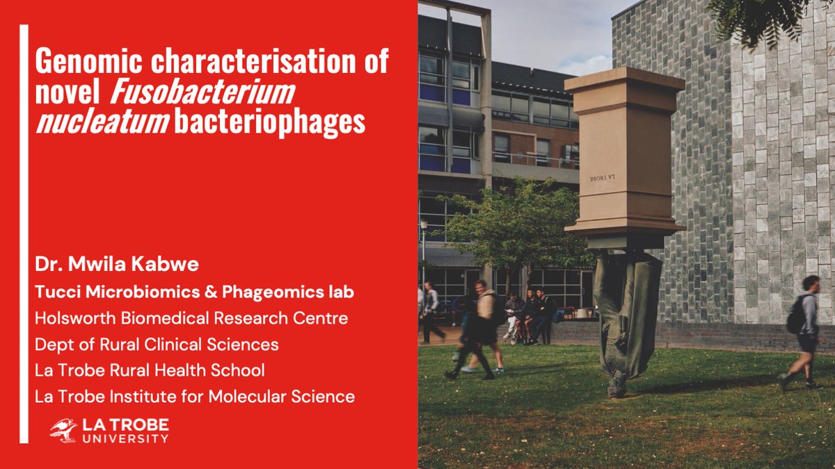 Microseq_ASM's tweet image. 🧬Next up, @MwilaKabw3 uses #WGS in combination with traditional #virology methods to characterise a novel Fusobacterium nucleatum #bacteriophage. Exciting new insights into virus-host relationships, evolutionary history, ecology, and function! #MicroSeq2025 #genomics