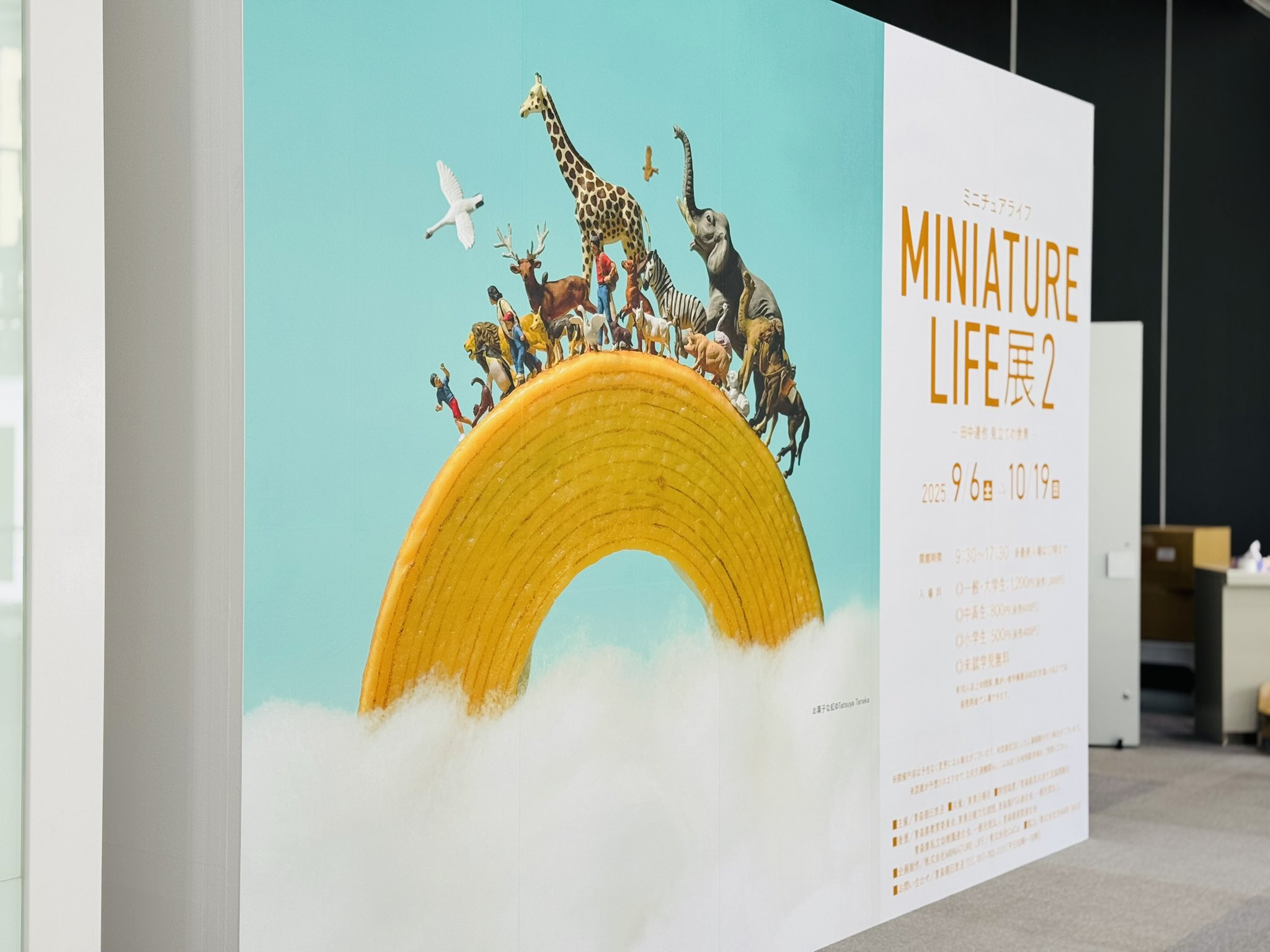 田中達也　ミニチュアライフ展　佐賀会場限定クリアファイル　10枚 田中達也 ミニチュアライフ展 佐賀会場限定クリアファイル 10枚