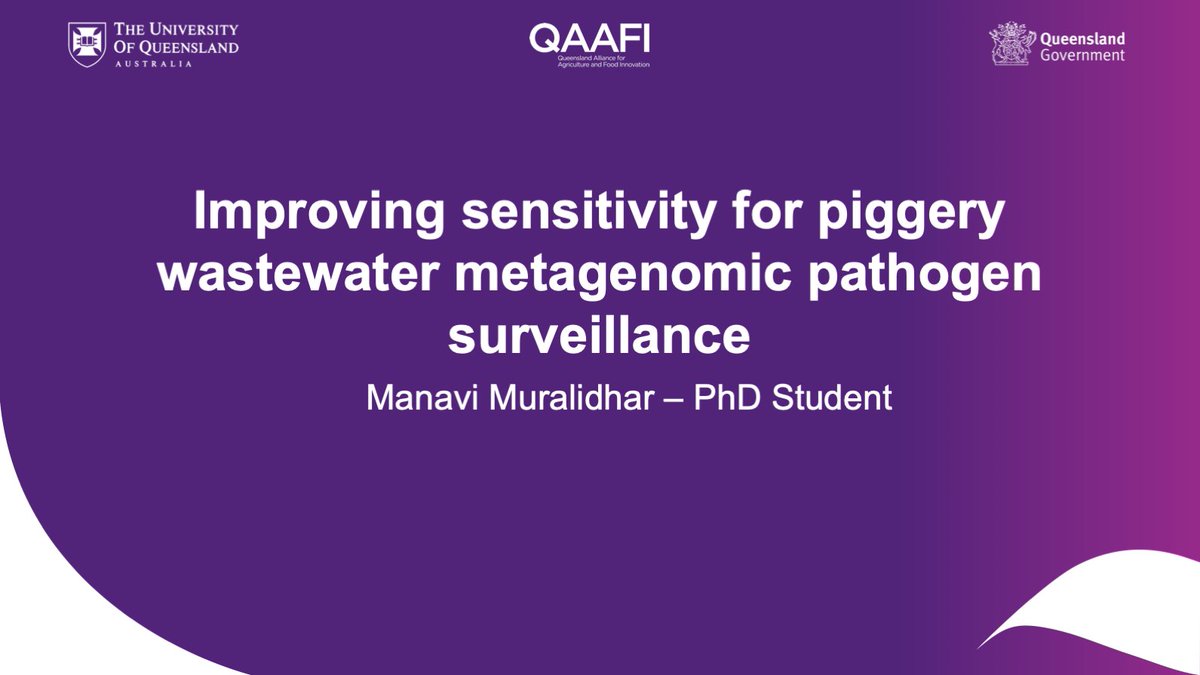 Microseq_ASM's tweet image. 🐖Manavi Muralidhar evaluates #metagenomics as an early pathogen detection method in piggery wastewater samples. Explore the ways metagenomics can monitor disease outbreaks and how to improve sensitivity for successful implementation! #MicroSeq2025 #OneHealth #wastewater