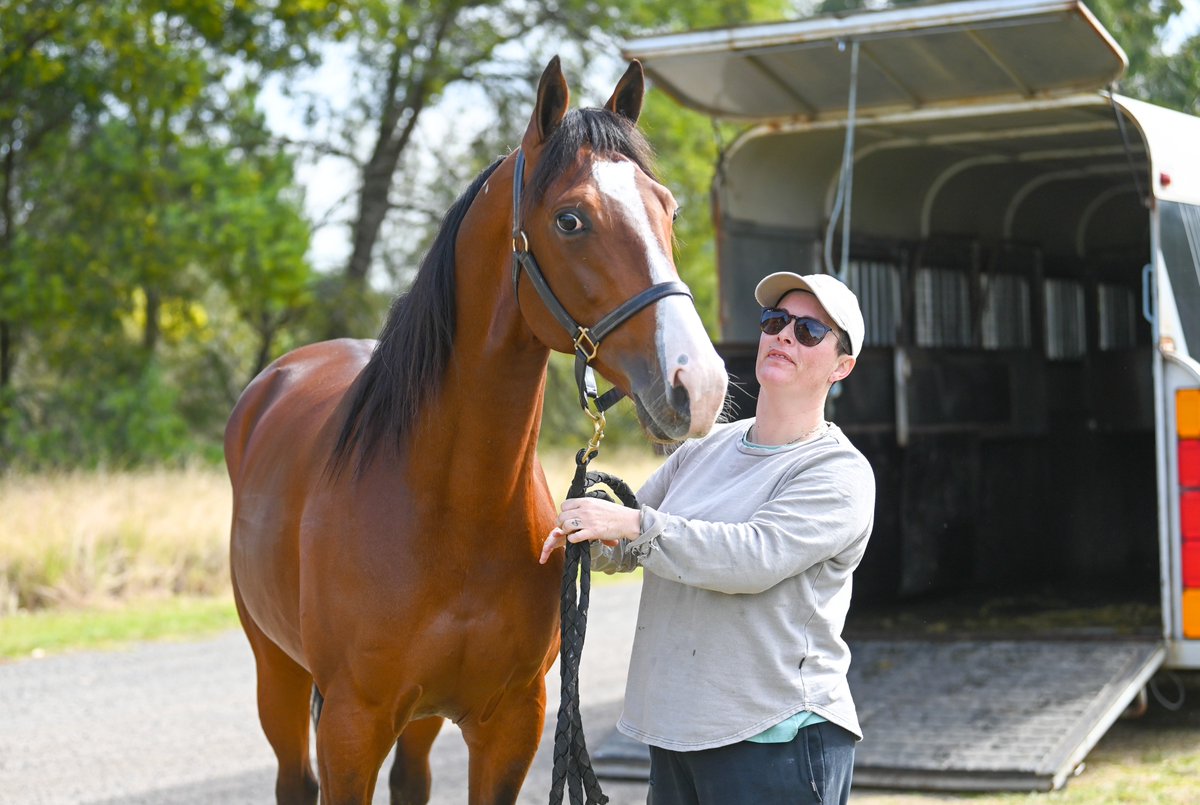 The field for the 2025 The <a href="/eurekarace/">The TAB Eureka</a> have arrived at the <a href="/HRNSW_Harness/">Harness Racing NSW</a> Retention Barn.🏆✨

🐴MIKI TO SUCCESS 

#TheTABEureka #DiscoverGreatness | <a href="/TonkinStewart/">TonkinStewartRacing</a>  <a href="/summitbloodstoc/">Summit Bloodstock</a>