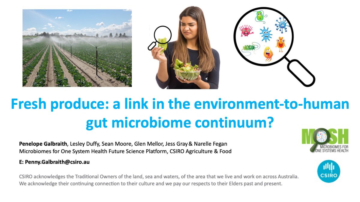 Microseq_ASM's tweet image. 🥬@PenpenG123 demonstrates water-derived microbiomes (eg. irrigation) can alter raw plant food #microbiomes all the way from farm to digestion! Check out the way fresh produce acts as an effective link in the environment-to-gut continuum. #MicroSeq2025 #agriculture #foodsafety