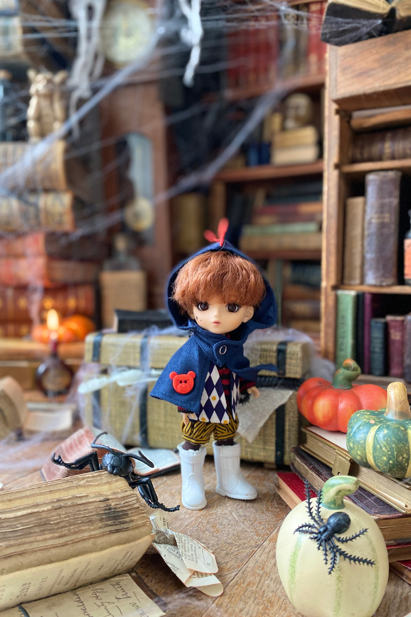 ⚠CROBI⚠ドール BJDCROBI]bjd, doll, balljointeddoll, crobi