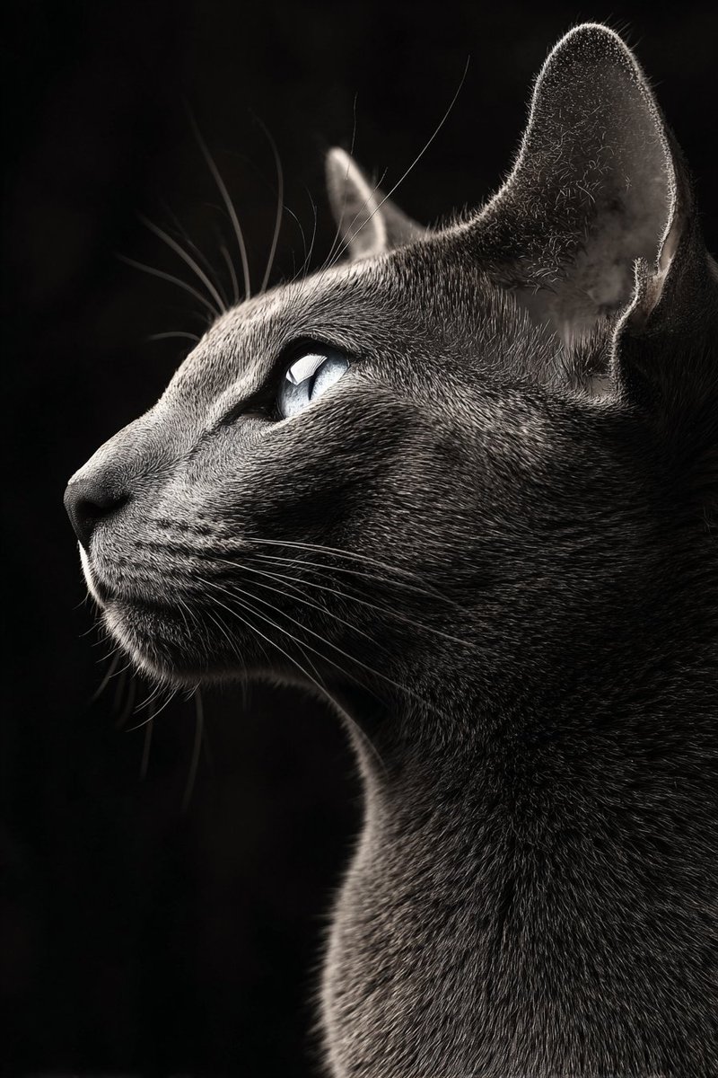 Epic Animals (@epicanimalsx) on Twitter photo 