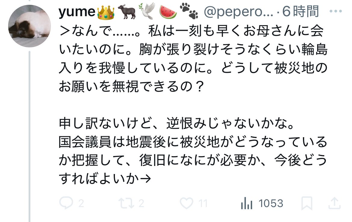 母親を亡くされた方に向かって「逆恨み」と信じられない発言するれいわ信者
スクショするなと書いてあったので流れてきた画像を流用して拡散してやるぜｗ
人命そっちのけでパフォーマンスにいそしんだ山本太郎のクズっぷりが良くわかる、そしてその信者はこんな奴らばっかり

#れいわはないわ