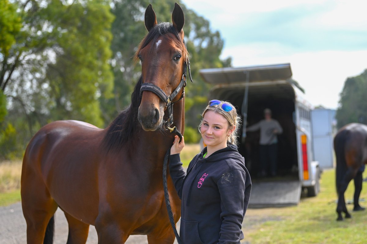 The field for the 2025 The <a href="/eurekarace/">The TAB Eureka</a> have arrived at the <a href="/HRNSW_Harness/">Harness Racing NSW</a> Retention Barn.🏆✨

🐴BAY OF BISCAY

#TheTABEureka #DiscoverGreatness | <a href="/TonkinStewart/">TonkinStewartRacing</a>  <a href="/SStandardbreds/">Soho Standardbreds</a>