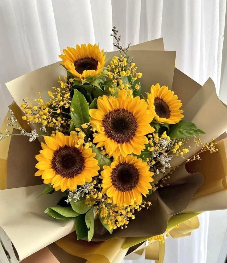 Lo fundamental para sentirnos bien,es la actitud que tomamos ante la vida".

Buenos días a todos 🌺