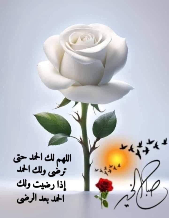 . 3bdullah (@22alsweed) on Twitter photo 