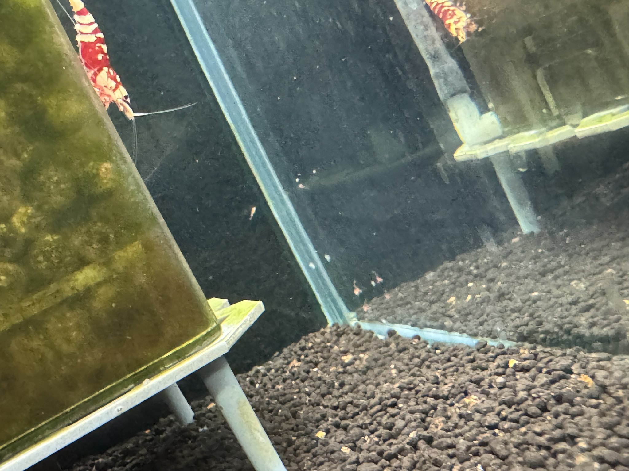 もなか⭐️断捨離中オーダー水槽台でございます。 もなか⭐️断捨離中オーダー水槽台でございます。 すいそうやさん