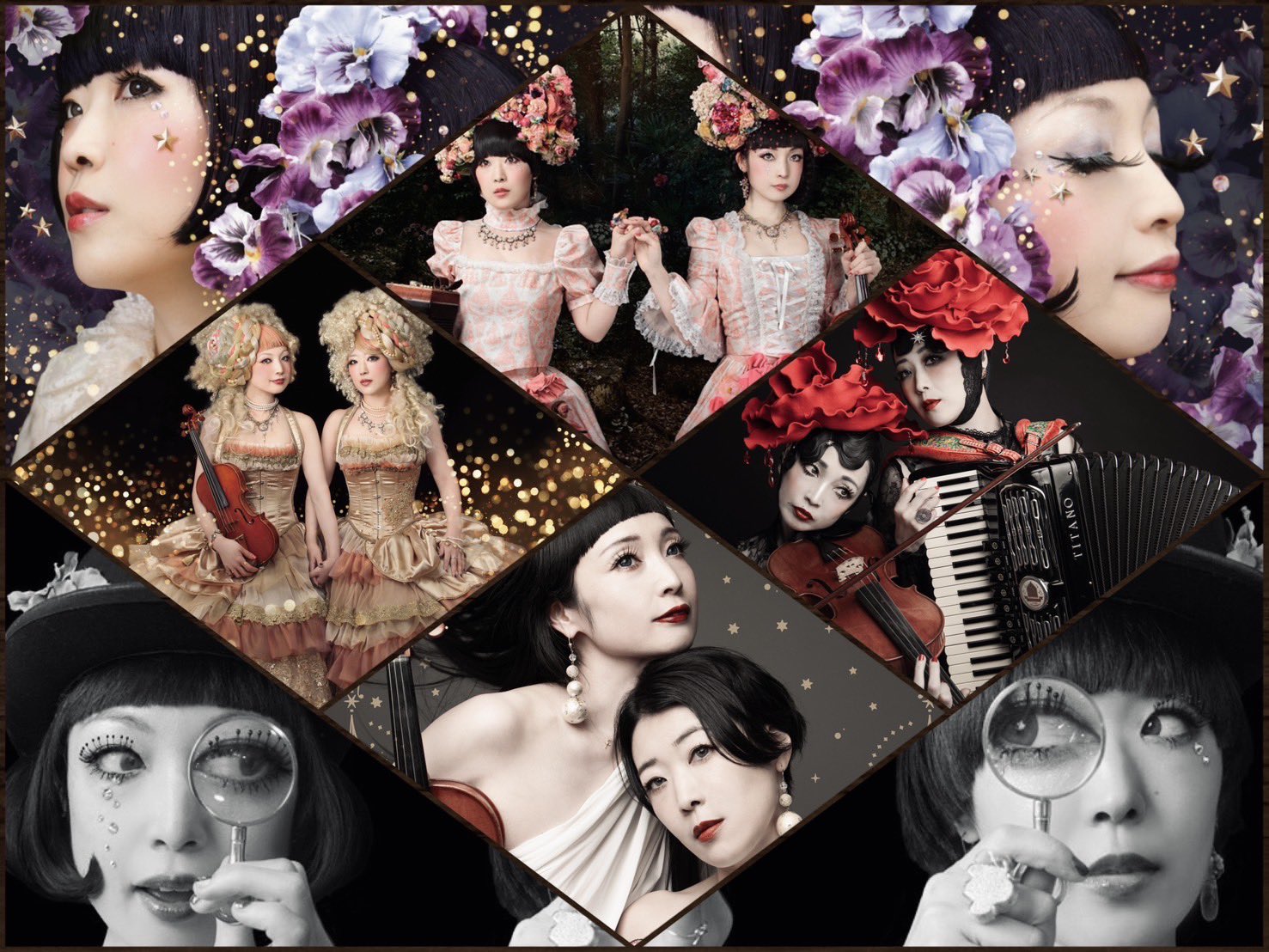 すみれページ 黒色すみれ on X: 