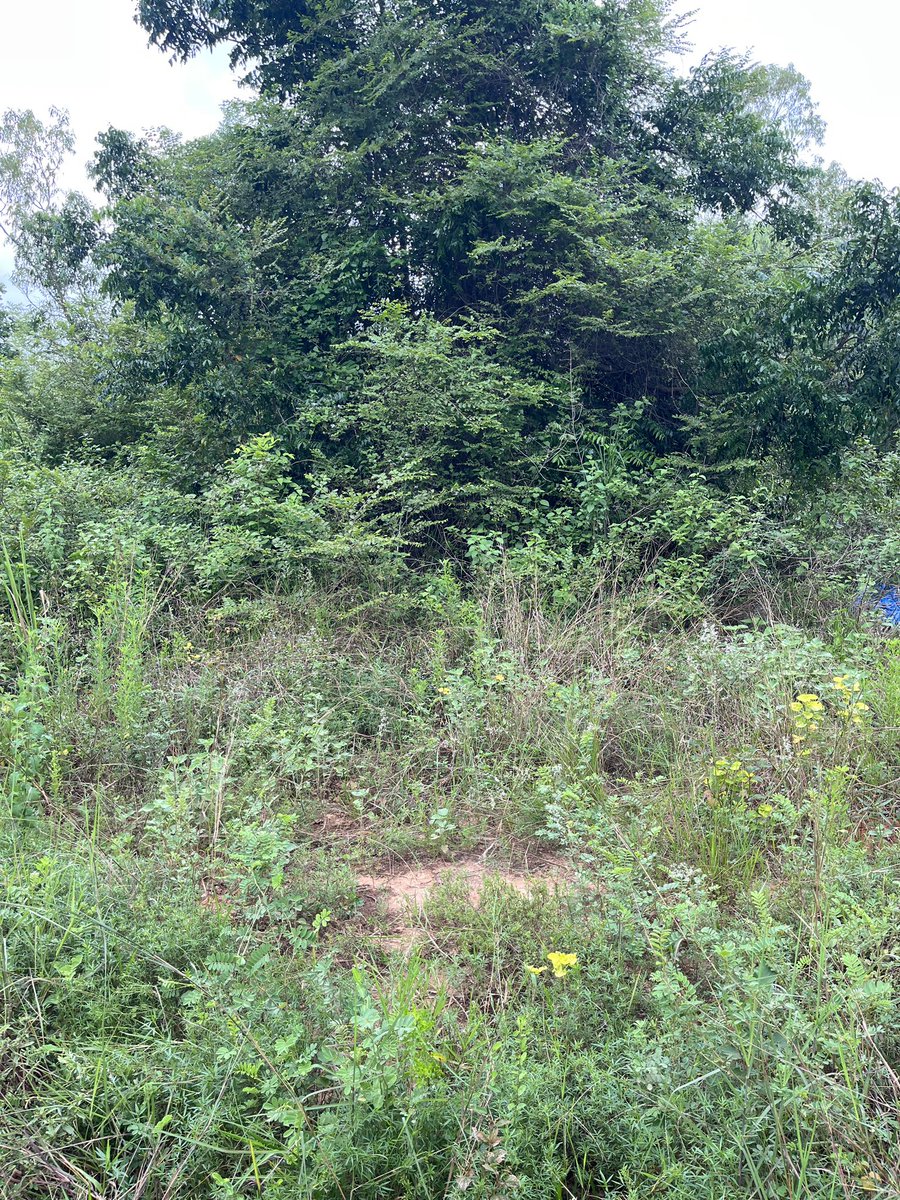 One14Some's tweet image. เหมาะแท้ #บ่อระเบิด #หนองบ่อ #หลังค่ายสุรธรรม