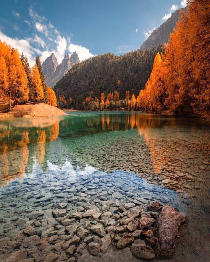 The crystal clear water of Switzerlands Alpine lake