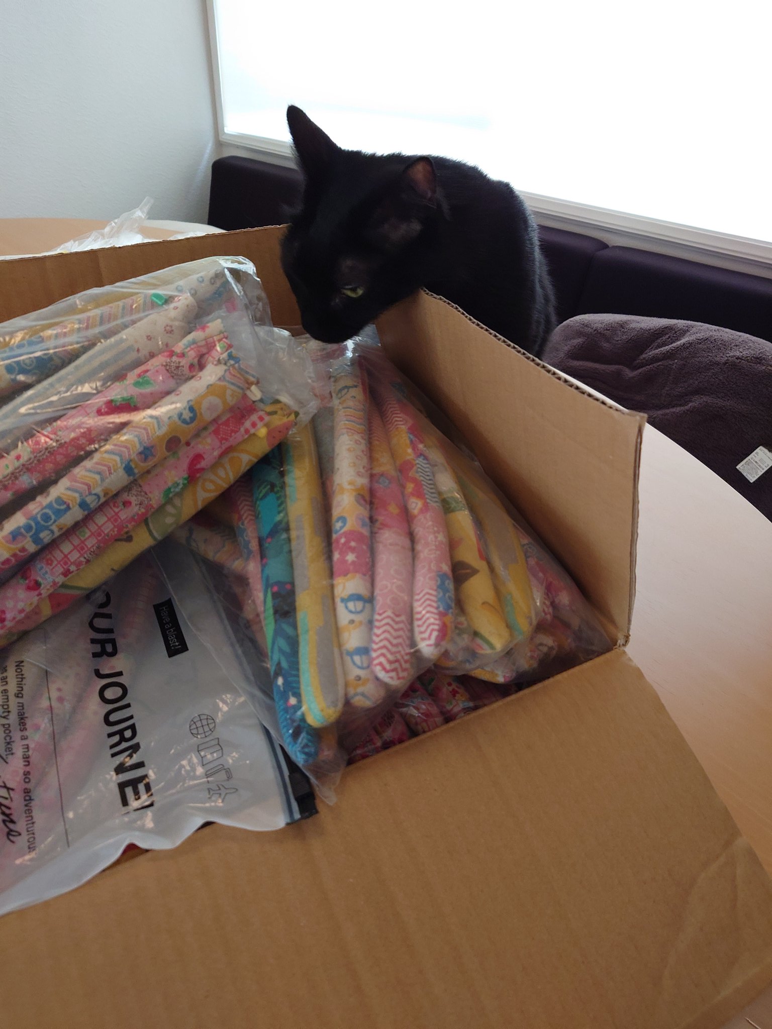 Neko娘⭐︎断捨離中　チェア 新しいお椅子を買いました！ねこが1番使うまでがお約束