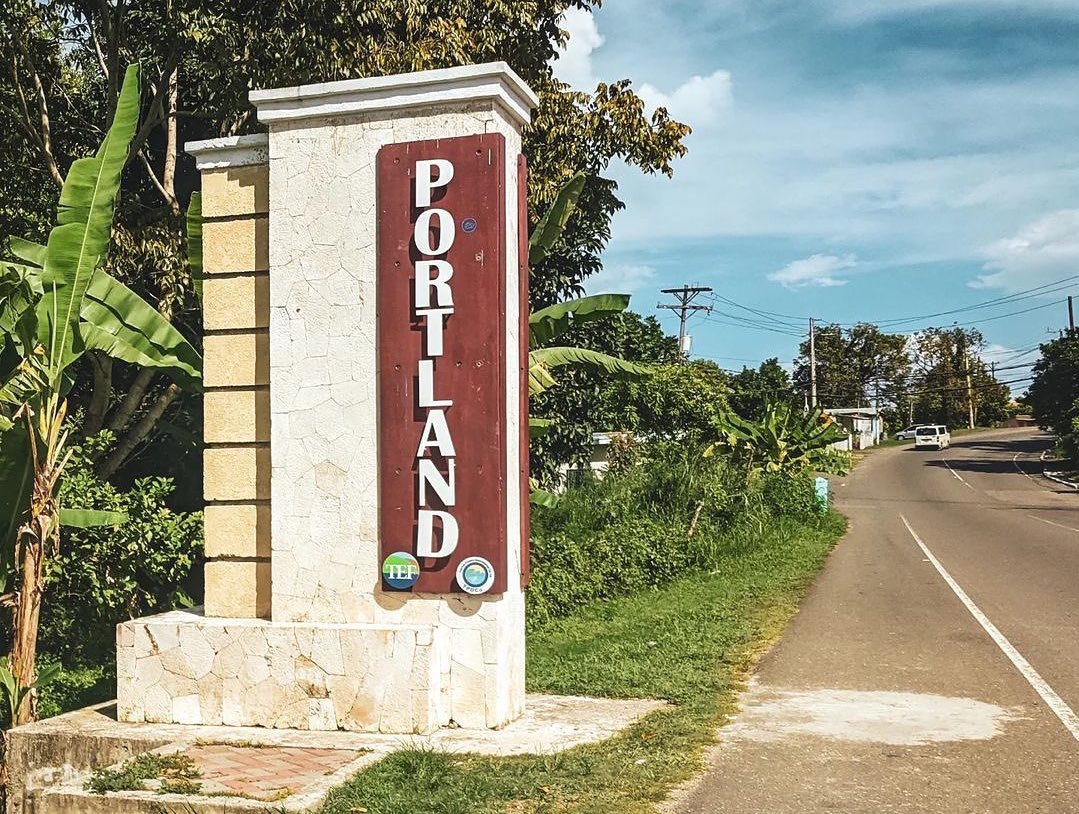 If I send you this it mean seh yuh ungrateful yf ‼️