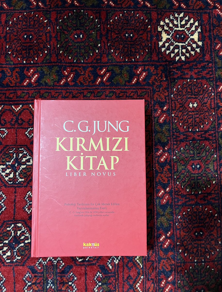 “Bir ışık aradığında önce daha da derin bir karanlığa düşersin.” s.162