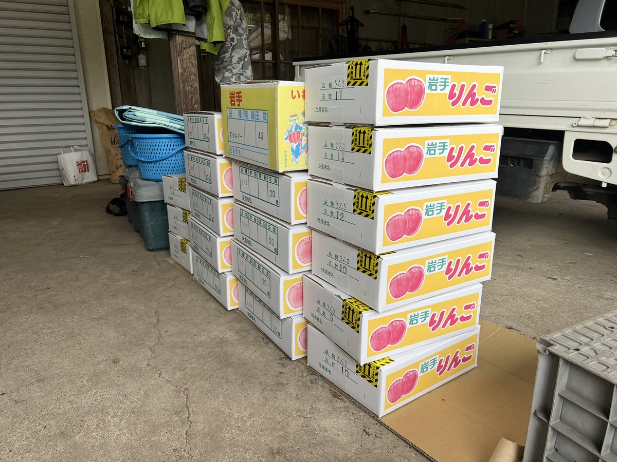 今日はブラムリーの収穫・発送とさんさの発送作業。
今年のブラムリーは我が家では不作でした。ご予約分のみの対応になります。
申し訳ありません🙇

#りんご　#盛岡　#ブラムリー