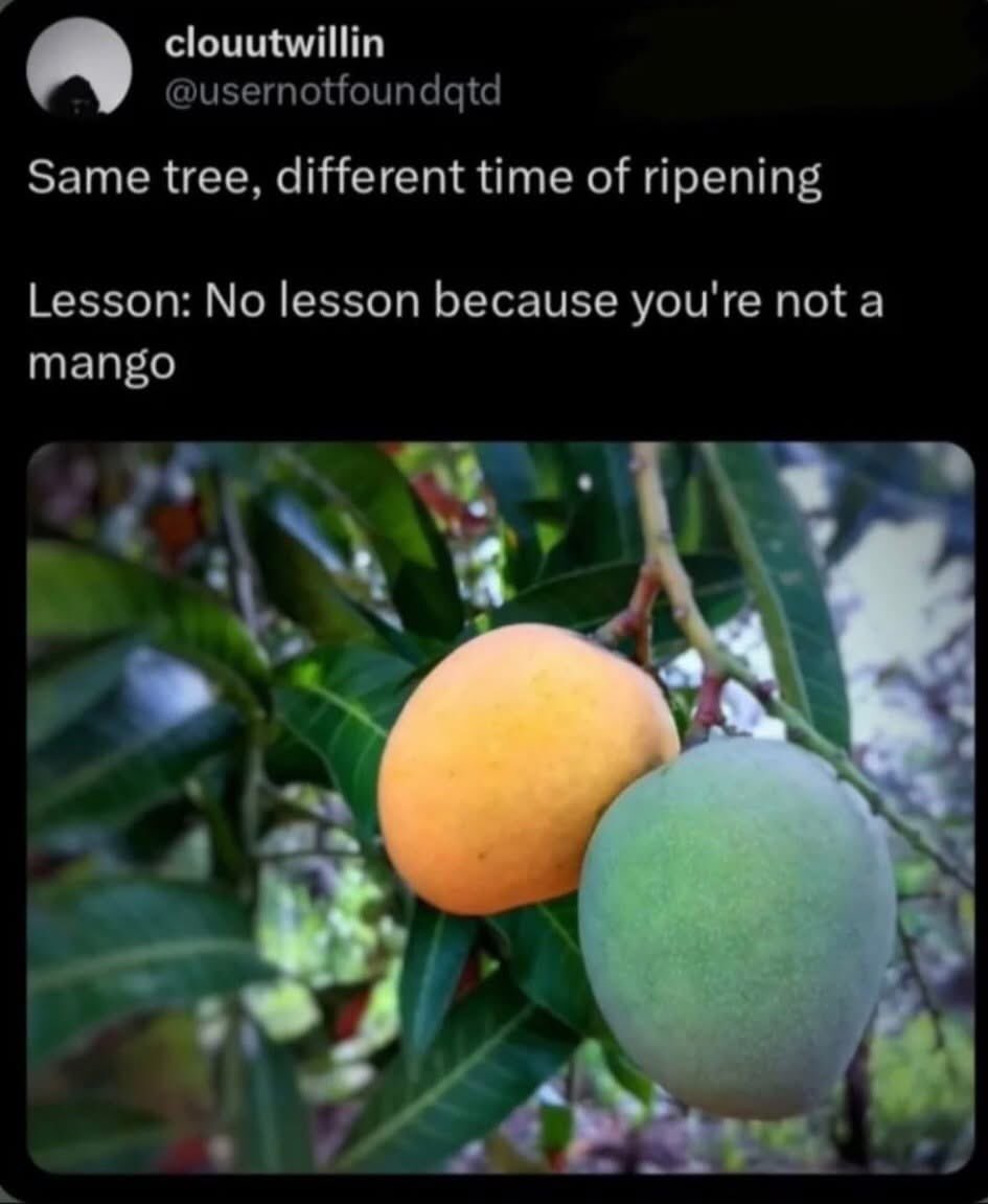 Vincemaseko's tweet photo. You are not a Mango https://t.co/l2cbHyORxA