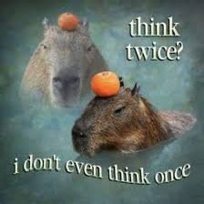 capy (@capyonbonk) on Twitter photo 