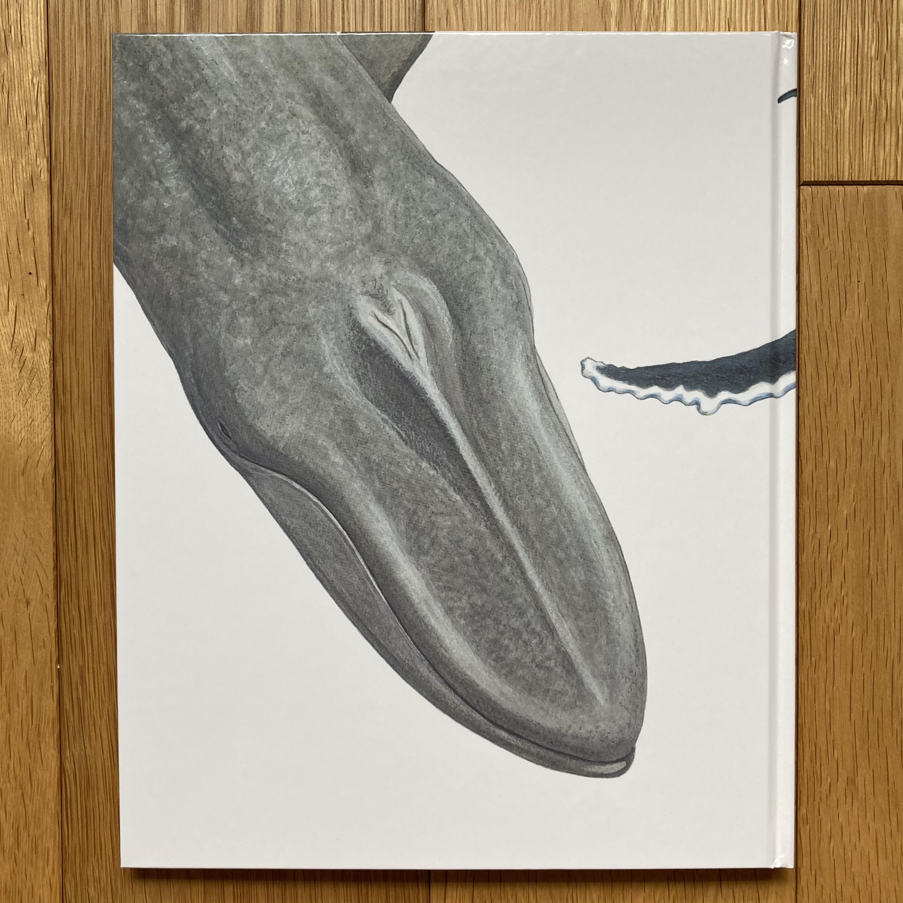 絵画　クジラ 音を奏でるクジラ 絵画 Ten.UchuArt 通販 14725809｜Creema