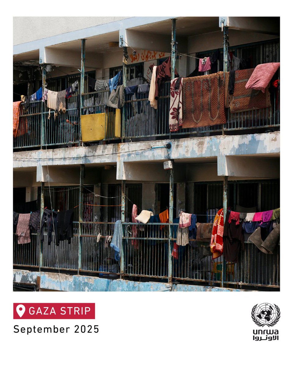 Families in #Gaza have been left without essentials. UNRWA has not been allowed to bring in any aid for 6 months now.

Shelter items like mattresses, blankets, and tents are much needed. UNRWA is ready to deliver—the siege must be lifted.