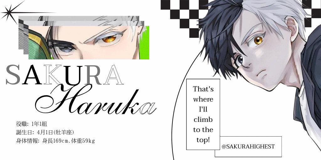 SAKURA HARUKA •° tweet media