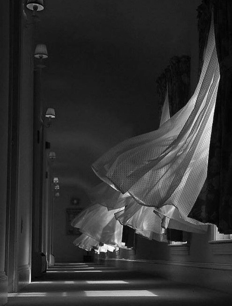 Wind, 2005

©️Bruce Berrien