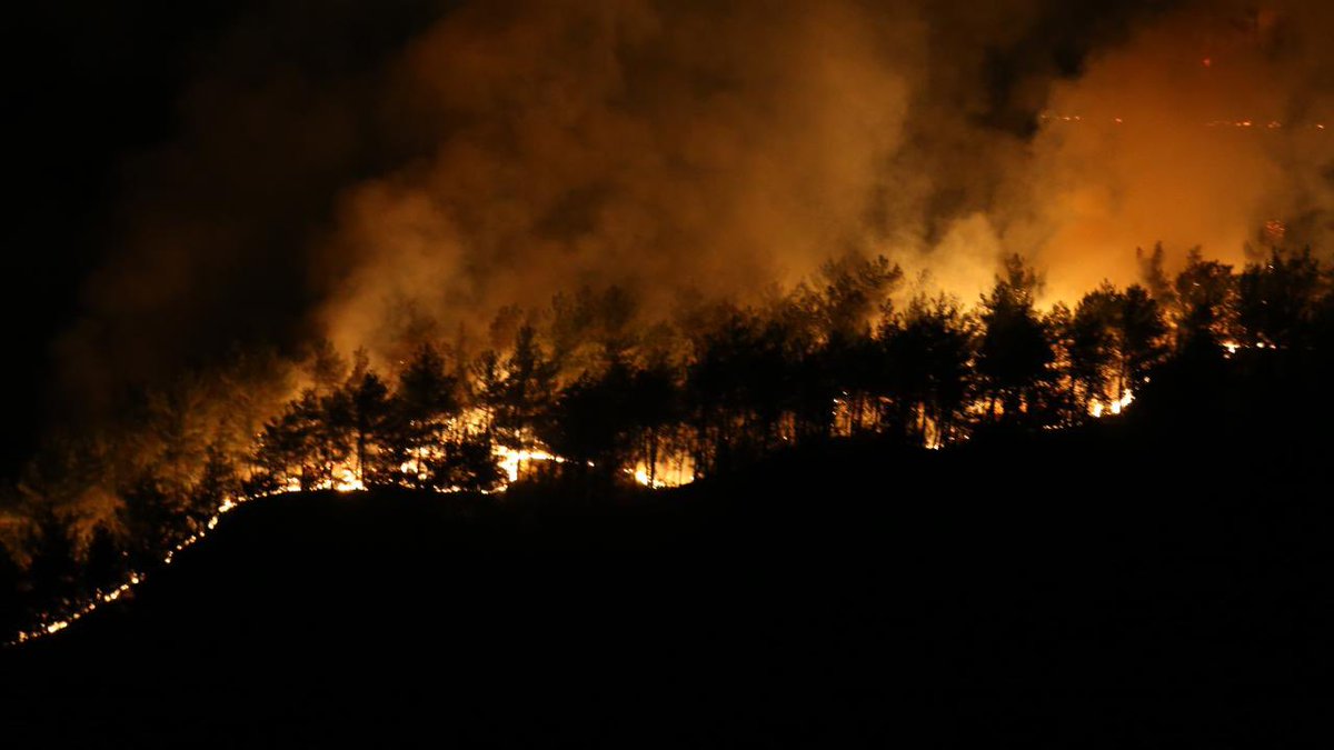 Görmezden gelme, sesini yükselt! #KastamonuYanıyor