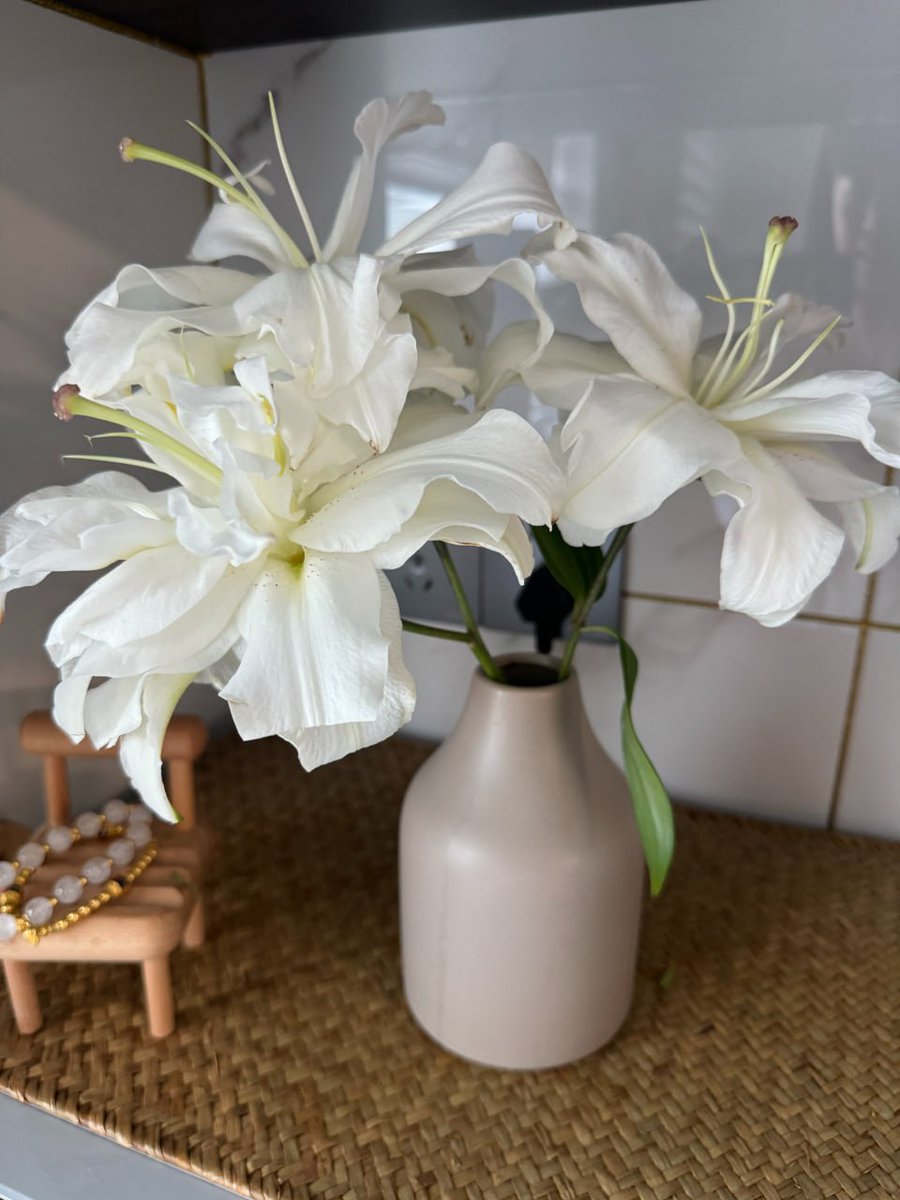 lwkjedj51238's tweet image. #Life #Daily #RandomShots