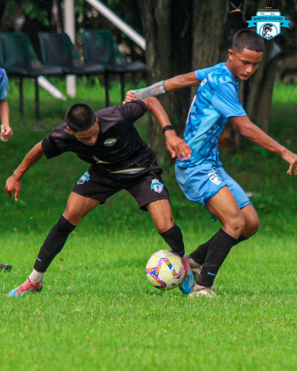 minervapunjabfc's tweet image. Through sweat, sacrifice, and relentless training — our Warriors never back down! 🔥⚔️

📞 Don’t miss your chance! Call +91-6284779696 and secure your spot today — seats filling fast!

#Minervans #WarriorSpirit #TheFactory #IndianFootball