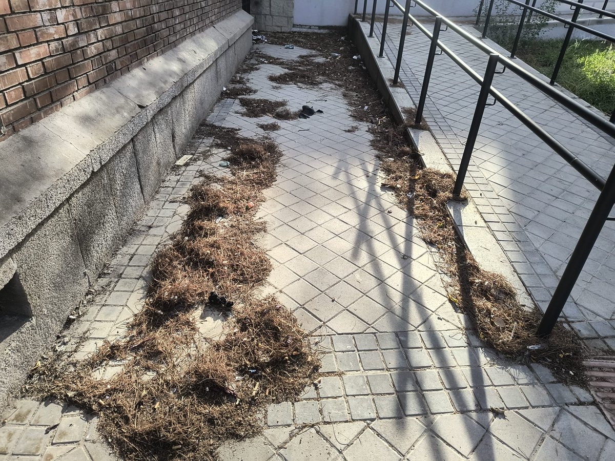 AVVBarrioMosca's tweet photo. Una rampa recientemente hecha de NO accesibilidad por la basura que se acumula y que no se limpia a pesar de los avisos y registros desde principios de verano. @Lineamadrid @jmd_usera #usera espalda de Paseo Santa María de la Cabeza, 121. Aviso 8985862 y registro 502/2025/042572. https://t.co/rFtQHKZFuA
