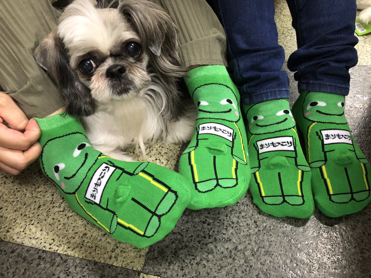 PegaMagic's tweet photo. みんなにお土産〜✨ https://t.co/GiPuvUPGjV
