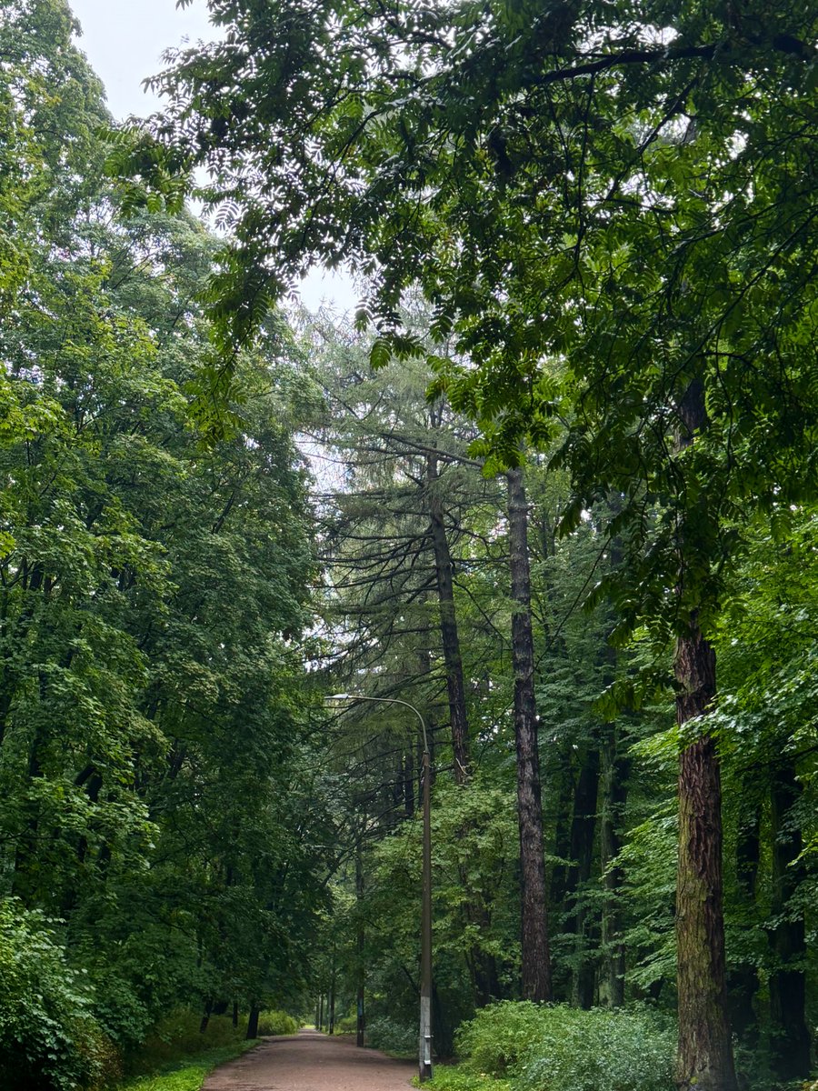 Люблю жизнь, знаете, кайфово жить на самом деле 😎