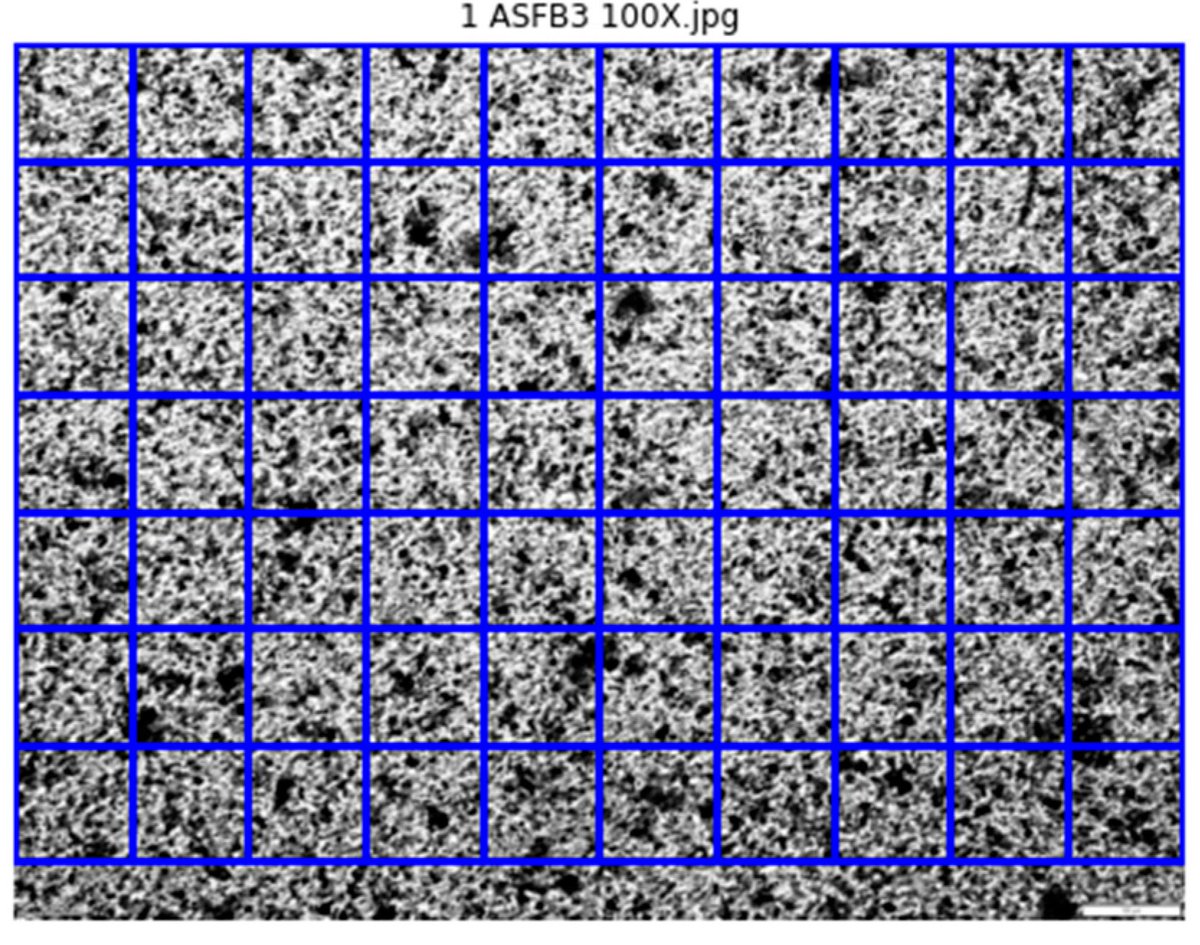🔉Call for Reading!

📌Decoding Plant-Based Beverages: An Integrated Study Combining ATR-FTIR #Spectroscopy and Microscopic Image Analysis with #Chemometrics

🎓By Paris Christodoulou, Eftichia Kritsi et al. 

🔎Learn more at: lnkd.in/d2z25qdS