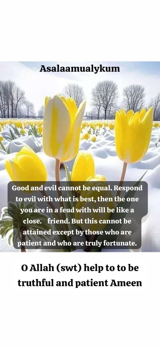 Hajji Wayne Conley 🇮🇪☝️ tweet media