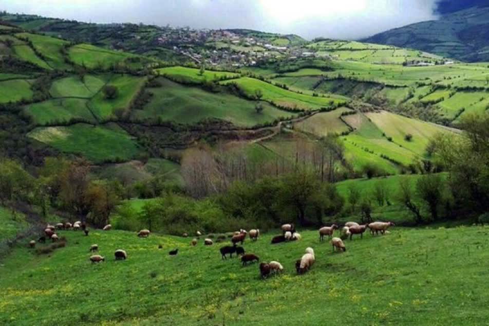 kalamnoor77's tweet photo. طبیعت زیبای مازندران 
#مازندران_ما
#ساری_ما https://t.co/X9TE7L5qGv