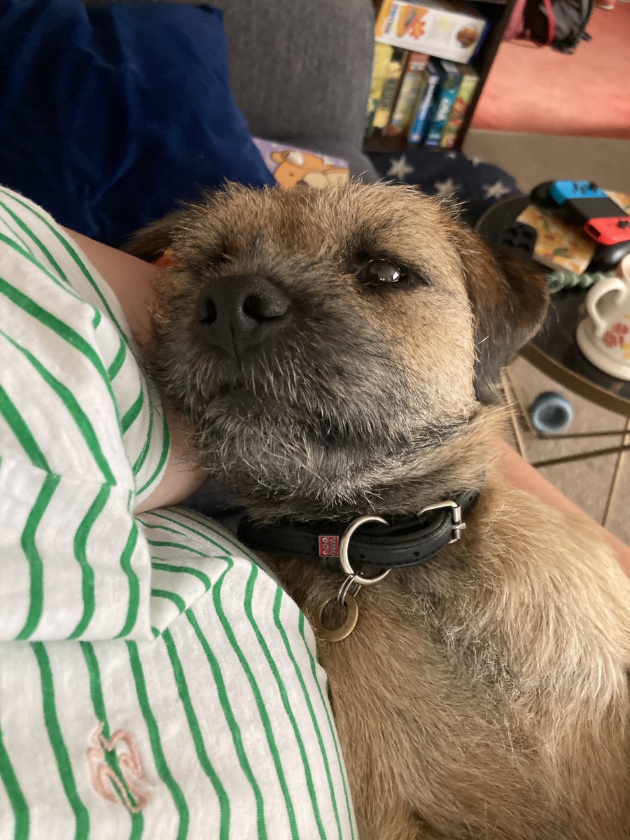 Gus wanted to be the baby 😂