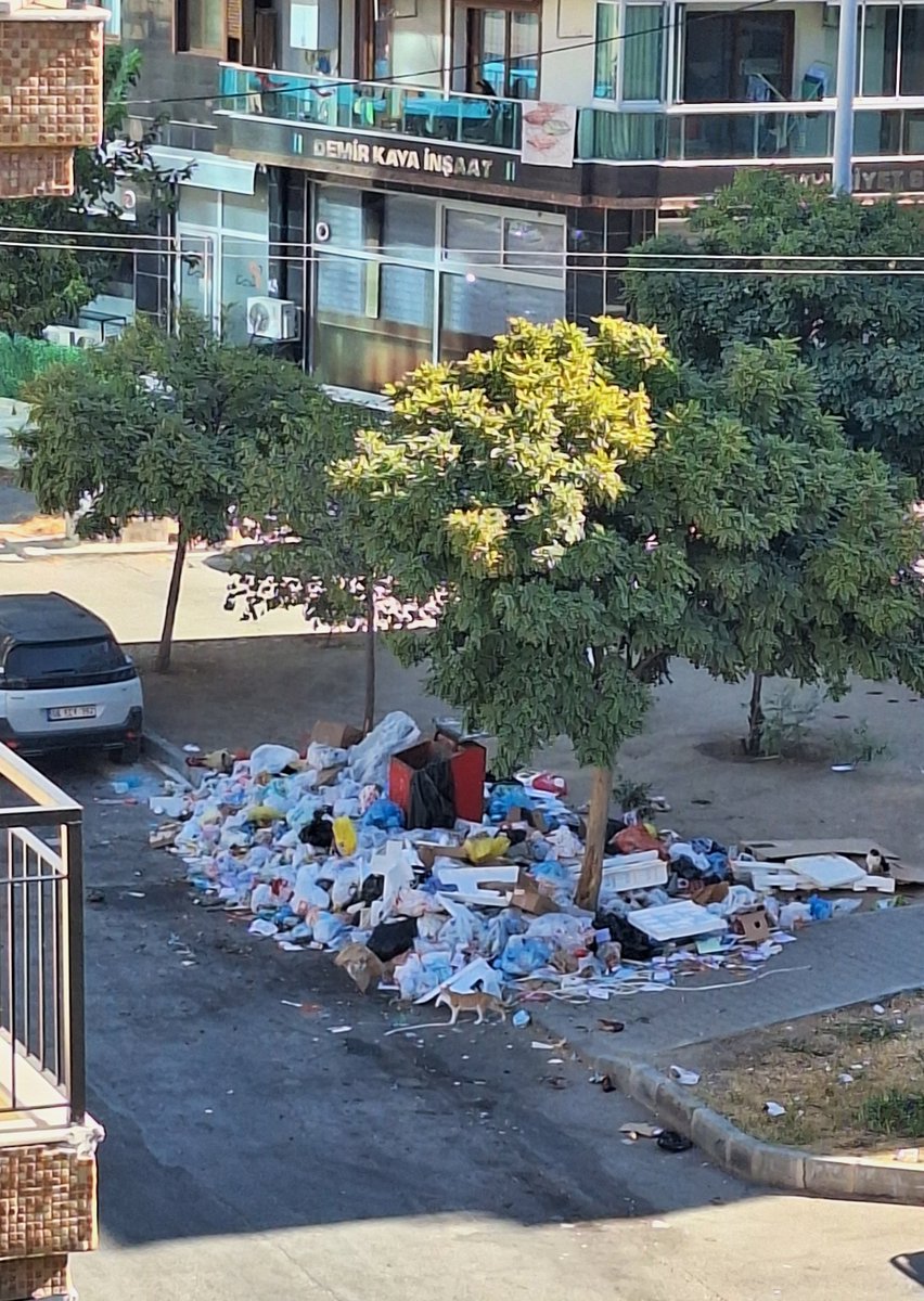 EylemSelen's tweet photo. @izmirbld @izmirhim bu kaçıncı yazışım unuttum. Mahallemizde (6275 sok.) Bir çöp rezaleti söz konusu: çöpler toplanmıyor, çöp konteynerleri yetmiyor! Acilen bu konuya çözüm getirilmesi gerekiyor, ÇOK ACİL!!!

#çöp #rezalet #izmir https://t.co/V6b7kJfz8k
