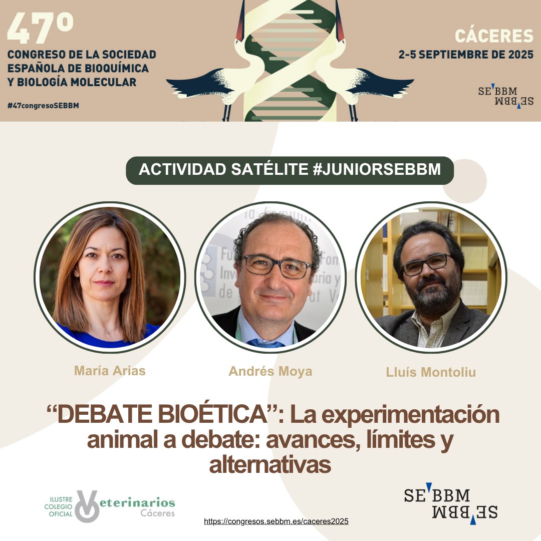 Unidad Divulgación Científica Fac.Veterinaria UCM (@udcvet) on Twitter photo 📢📢📢 María Arias, Vicedecana de Investigación de <a href="/VeterinariaUCM/">FVeterinariaUCM</a>, participó ayer en una mesa redonda sobre bioética y experimentación animal, en el marco del congreso anual de la <a href="/SEBBM_es/">SEBBM</a> 
✨️Muy importantes estos debates para seguir avanzando, y bien, en #investigación 🙌🏼 📢📢📢 María Arias, Vicedecana de Investigación de <a href="/VeterinariaUCM/">FVeterinariaUCM</a>, participó ayer en una mesa redonda sobre bioética y experimentación animal, en el marco del congreso anual de la <a href="/SEBBM_es/">SEBBM</a> 
✨️Muy importantes estos debates para seguir avanzando, y bien, en #investigación 🙌🏼