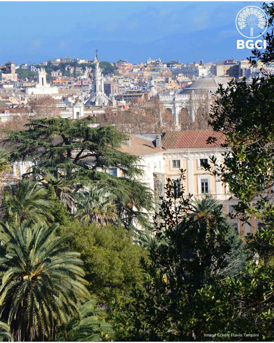 Botanic Gardens Conservation International tweet media