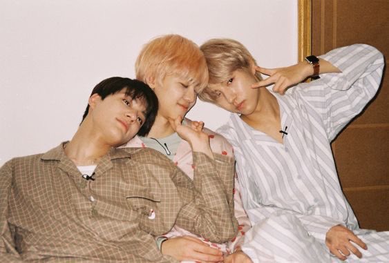 the animation vs real life 🐰🐶🦊