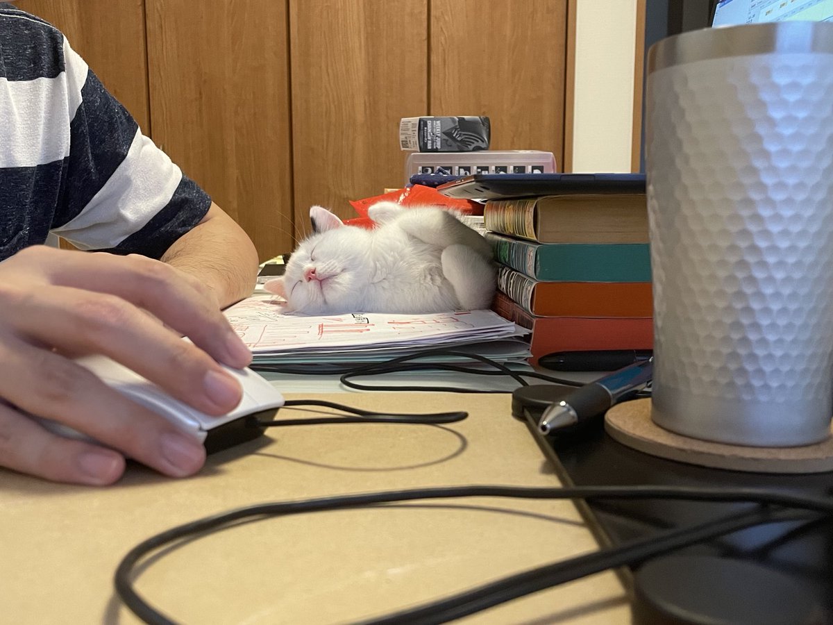 赤ちゃん